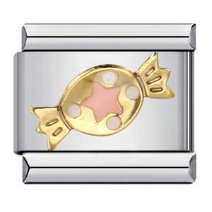 ICJ223-Animal Charms Exquisite 9mm Italian Charm Bracelet Stainless Steel Bracelet DIY Charm  