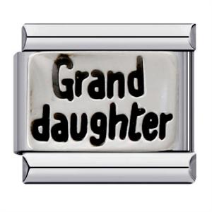 ICJ237-Animal Charms Exquisite 9mm Italian Charm Bracelet Stainless Steel Bracelet DIY Charm   