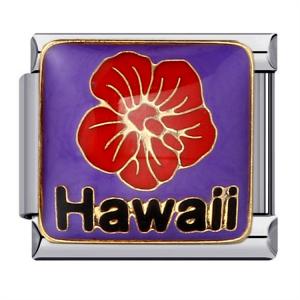 ICJ293-Animal Charms Exquisite 9mm Italian Charm Bracelet Stainless Steel Bracelet DIY Charm             